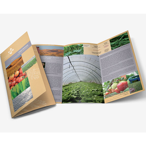 Brochures Brochures